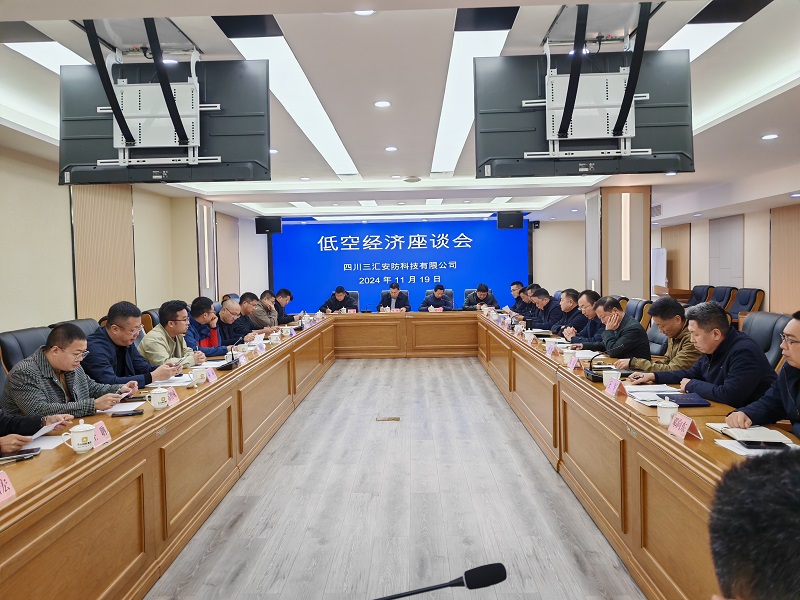 启航低空，飞跃未来——低空经济座谈会顺利召开
